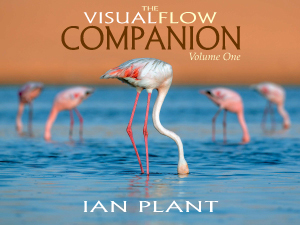 Book Review Update – Visual Flow Companion, Volume 1 Just Released
