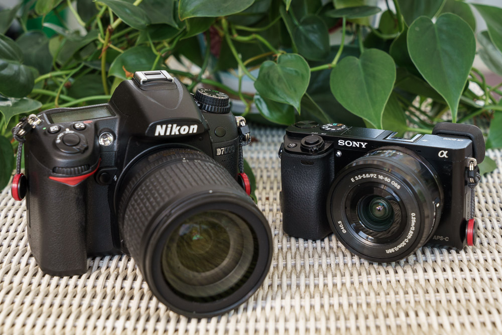 Should You Consider a Mirrorless Camera Over a DSLR?