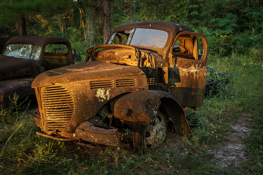 rusting Ford truck in Florida