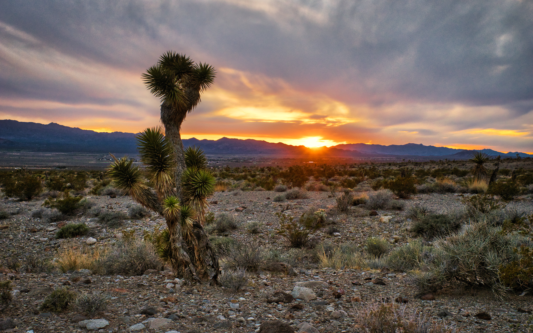 Sunset Over the Desert - Sandy Valley, Nevada