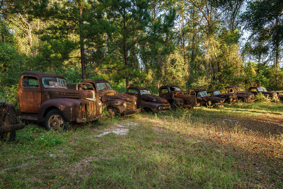 Pat Harvey's Ford Truck Collection - Crawfordville, Florida